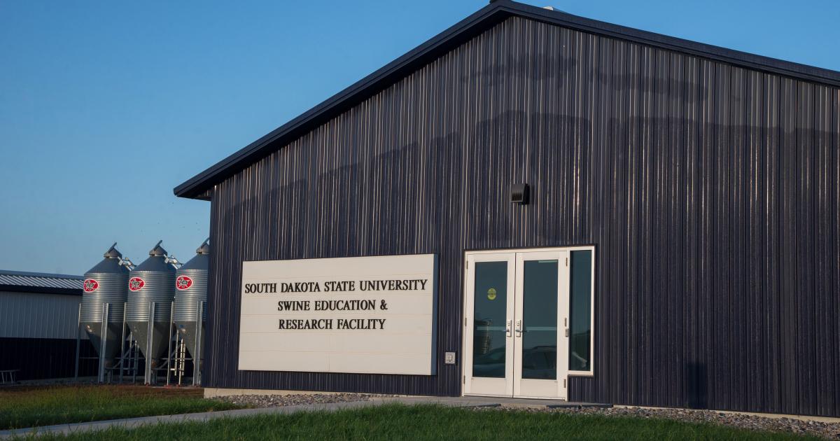 Sdsu Swine Day To Celebrate Swine Education And Research Facility S
