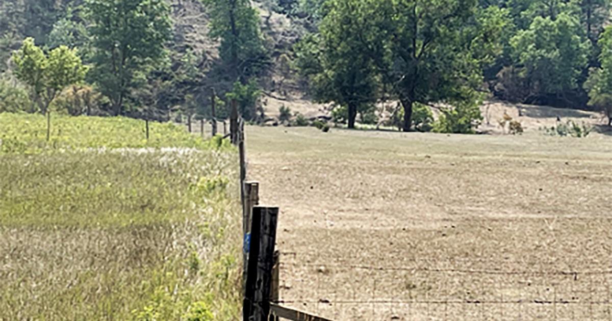 The Lasting Effects of Overgrazing on Rangeland Ecosystems