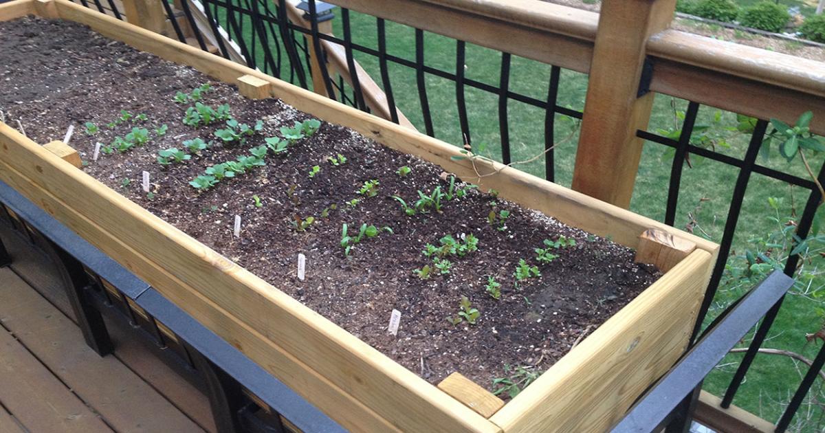 Using Compost in Raised Beds and Containers