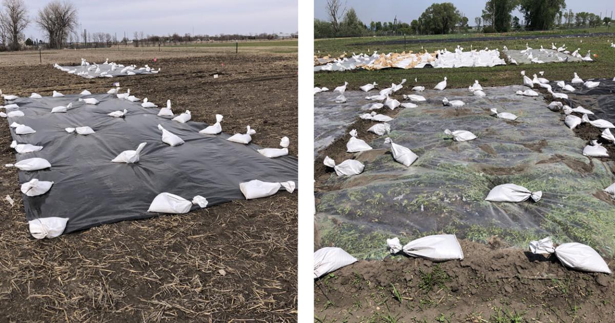 What is Soil Tarping and Why is it Used?