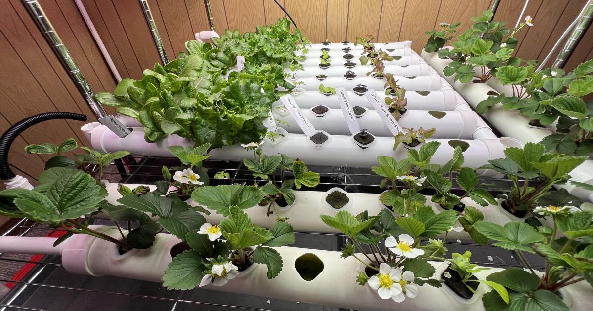 Alien Hydroponics EasyFeed System - 5 Pot 1 Row Kit