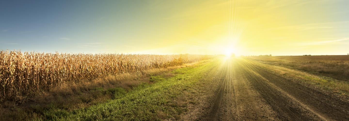 sun rising over South Dakota field