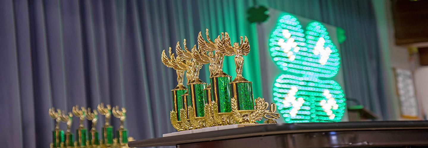 Series of trophies on display at a 4-H contest.