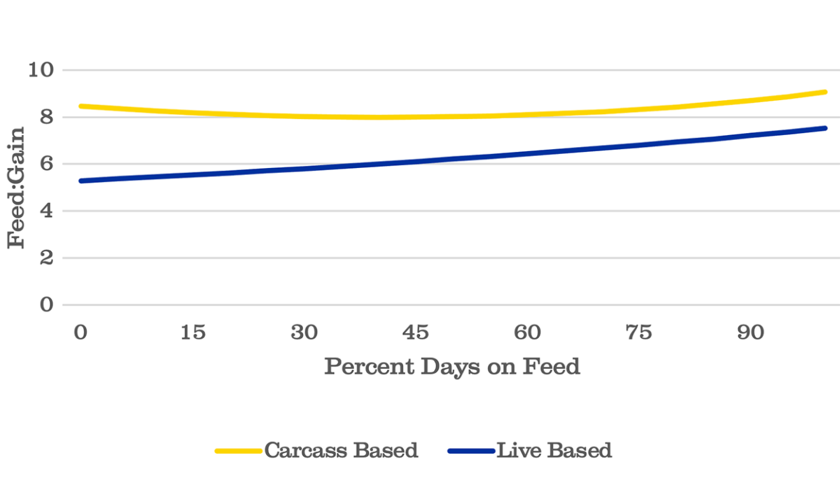 Live Weight vs. Carcass Weight Effect on Cost of Gain and Margin