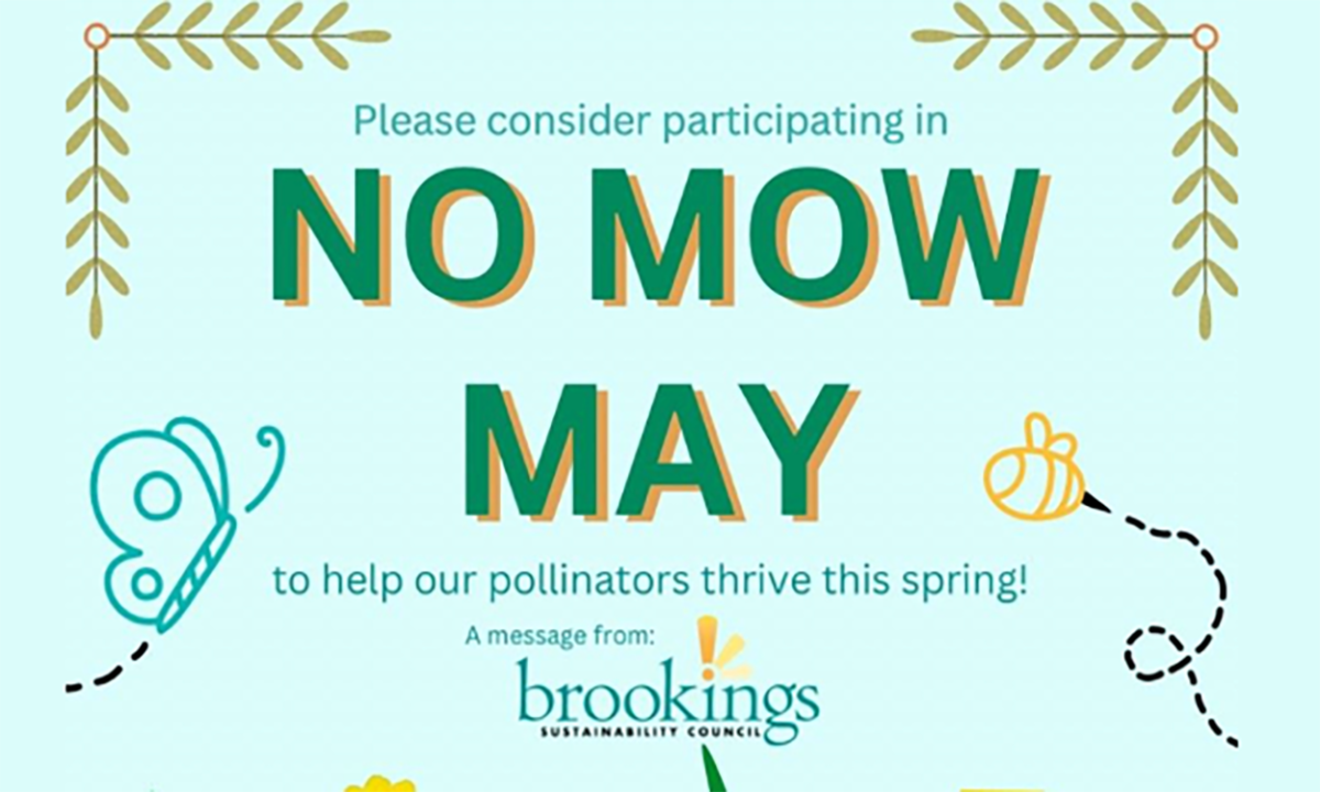 Landscaping Best Practices for Pollinators and Beyond