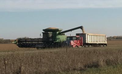 Green combine unloading soybeans into a red grain truck in a soybean field