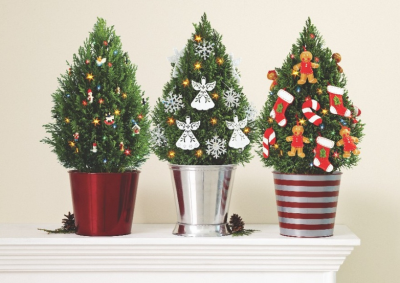 three small european cypress trees in pots