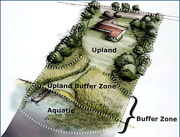 A diagram showing a grassy buffer zone between an upland house and body of water.