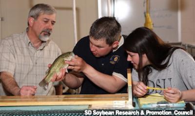 two students look at a fish while a teacher makes an explination