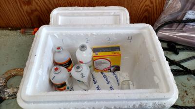 Labeled cooler and vaccines ready for anyone who is loading syringes.