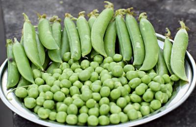 Garden Peas