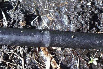 a black hose with small holes evenly spread out throughout it
