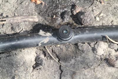 black hose with a round button in the middle of it. water is dripping from the button.