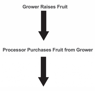 Two black arrows stacked on top of one another and pointing downward. The top arrow has the text "Grower Raises Fruit" above it. The bottom arrow has the text "Processor Purchases Fruit from Grower" above it.