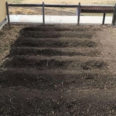A group of raised ground beds ready for planting in a garden.