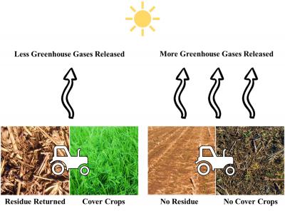 A figure illustrating showing the benefits of cover crops on greenhouse gases released. Fields with cover crops and residue returned release less greenhouse gases than fields with no cover crops or residue.