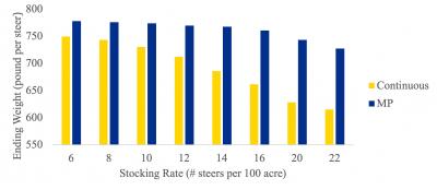 A bar graph comparing steer ending weight between continuous grazing (yellow bar) and MP grazing (blue bar). In all instances, MP grazing leads to higher ending weights compared to continuous grazing.For a complete description, call SDSU Extension at 605-688-6729.