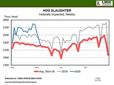 A line graph depicting weekly hog slaughter numbers for 2019 and 2020 compared to industry averages from 2014-18. Most-recent April 2020 numbers show 2250 thousand cattle per week compared to 2400 thousand in 2019 and 2250 thousand on average.