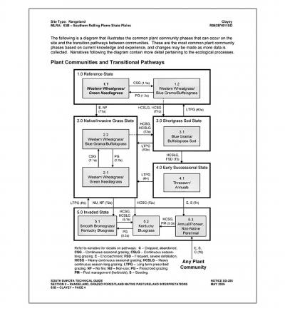 South Dakota state and transition model for MLRA 63B clayey ecological site Tripp County, South Dakota from NRCS. For a complete description, call SDSU Extension at 605-688-6729.