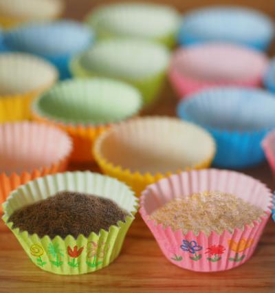Colored cupcke liners on a table. Two have pictures of flowers on them. One is filled with coffee grounds. The other is filled with cornmeal.