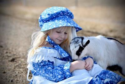 a little girl in a blue and white dress feeding a small goat