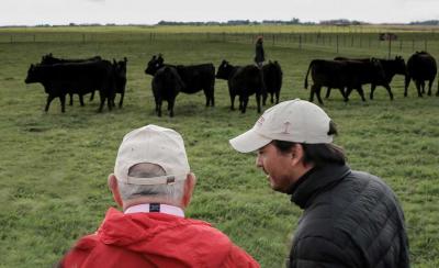 Ranchers observing a small group of cattle at pasture.