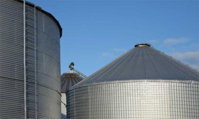 Grain bin exterior with ladders installed on the outside.