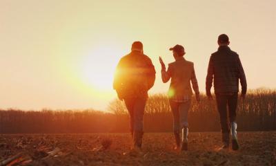 Three young farmers walking through a harvested field at sunset.