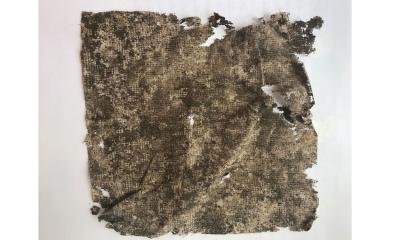 A recovered cotton strip with different colored pigments on them. The cotton strip also exhibits signs of microbial decomposition as the strip is torn at places.