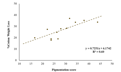 A 2 axis graph with pigmentation scores (numbers between 0 and 100) on the x axis and cotton strip weight loss (percentage) on the y axis. Data shown follows a scattered pattern from about 15% on the y axis to 38% on the y axis across values 17 and 44 on the x axis. The trend line fits and equation of y = 0.7251x + 6.1742 with an R square value of 0.60.