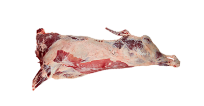 Beef carcass cleaned and ready for butchering and processing at a locker.
