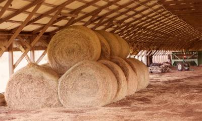 Several bales of hay stacked in a shed.