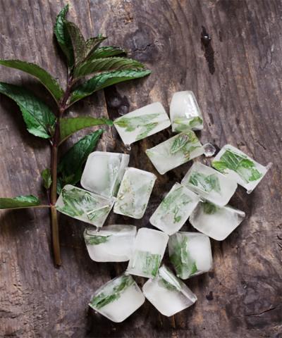 Fresh herbs preserved inside ice cubes.