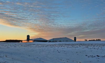 Hog barns at the edge of a snow-dusted field at sunset.