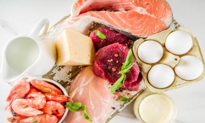 Variety of Animal-based protein sources.