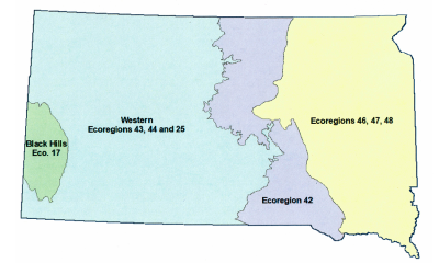 Color-coded map depicting South Dakota’s four ecoregions: Black Hills, Western Lakes, Ecoregion 42, and Eastern Lakes