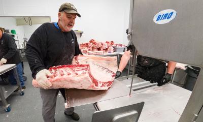 Producers cutting meat with a band saw.
