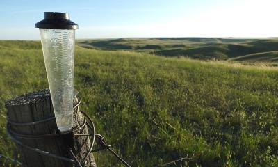 Rain gauge on a fence post along a well-managed rangeland area.