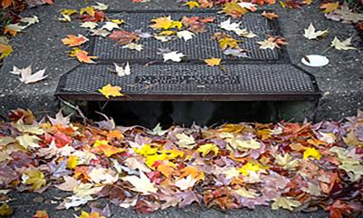 Leaves clogging stormwater drain.