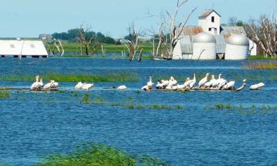 Where do floodwaters go and what do they leave behind?