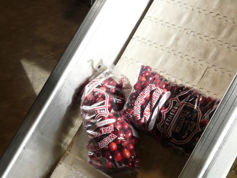 cranberries packaged in plastic bags on a conveyor belt