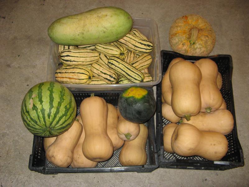several types of melon and squash in baskets