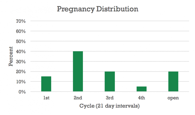 A chart with give green bars indicating pregnancy distribution. Contact Taylor Grussing at 605-995-7378 for assistance.
