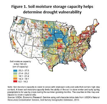 a graphic showing the soil moisture capacity of the United States.