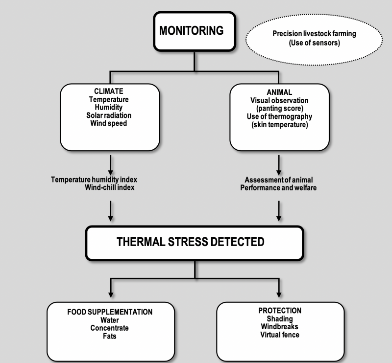 Figure 1. Heat Stress flowchart. Call Maristela Rovai at 605-688-5488 for more information.
