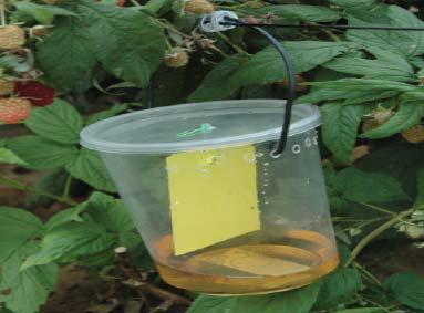 clear plastic container hanging from a hook with liquid at the bottom.