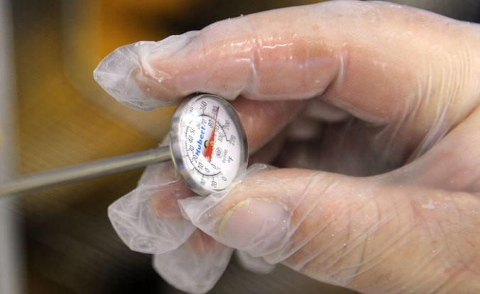 hand in plastic glove holding meat thermometer