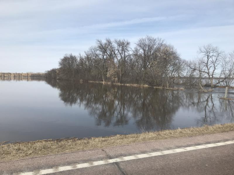 a flooded alfalfa field