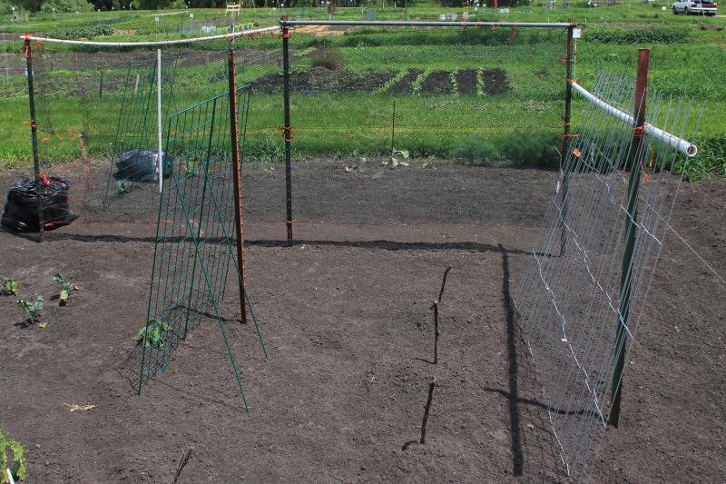 several trellis structures set up in a garden