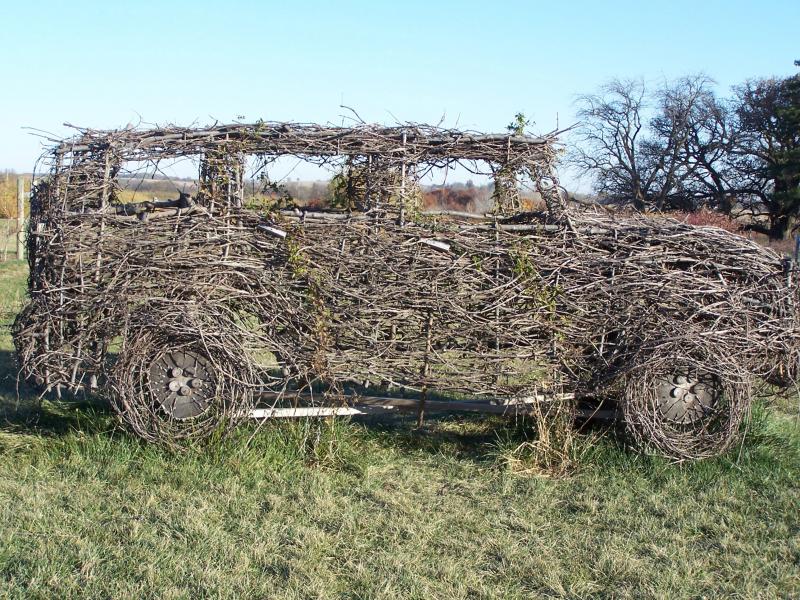 a car frame covered in grape vines